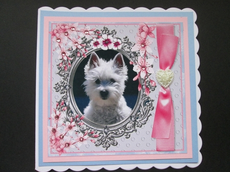 WESTIE UNIVERSAL CARD FRONT by BELINDA ABRAHAM