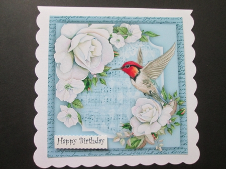 Bee Humming Bird and White Roses  by BELINDA ABRAHAM