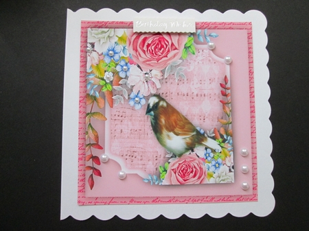 Finch in the Blossom by BELINDA ABRAHAM