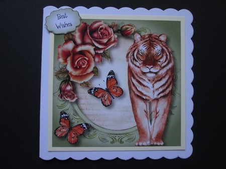 Watercolour Wonder - Animals Bumper Kit by BELINDA ABRAHAM