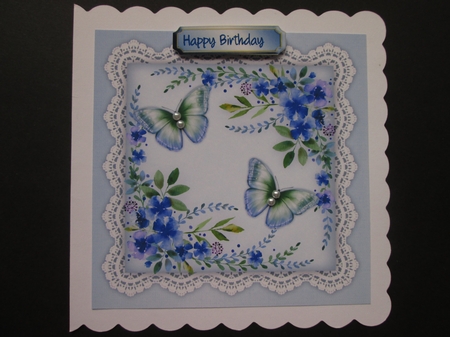 Beautiful Violets and Butterflys  by BELINDA ABRAHAM