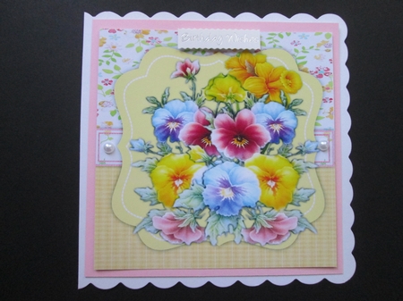Beautiful Summer Pansys  by BELINDA ABRAHAM