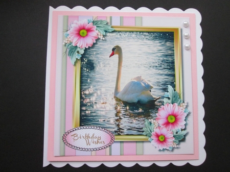 Beautiful Blush Flowers and Swan  by BELINDA ABRAHAM