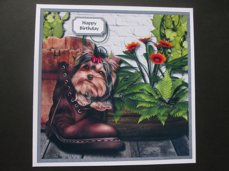 Dog in boot by BELINDA ABRAHAM
