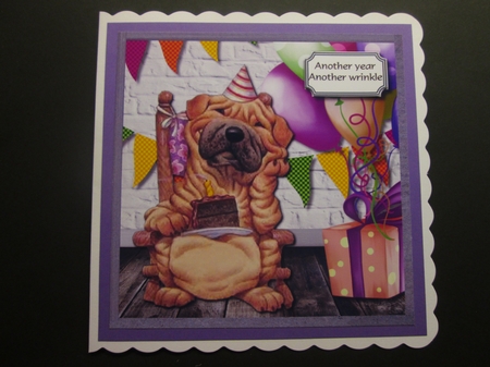Old Wrinkly by BELINDA ABRAHAM