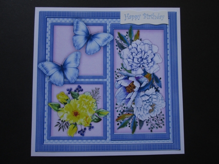  Sunshine and Blue Roses  by BELINDA ABRAHAM