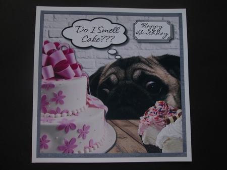 Pug do I smell cake?? by BELINDA ABRAHAM