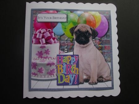 Birithday Pug by BELINDA ABRAHAM