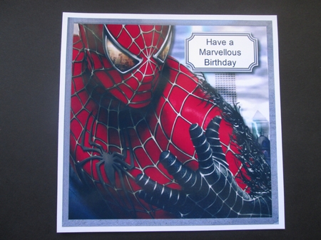 Spiderman by BELINDA ABRAHAM
