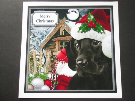 Waiting for Santa Paws by BELINDA ABRAHAM