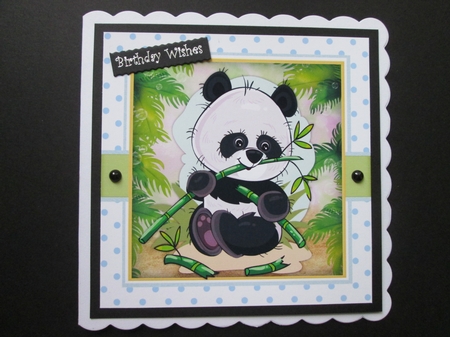 Panda Loves Bamboo  by BELINDA ABRAHAM