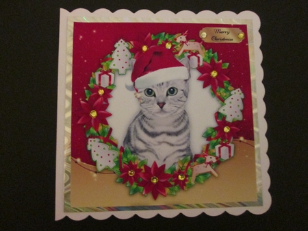 Gorgeous Grey Kitten In Santa Hat 8x8 by BELINDA ABRAHAM