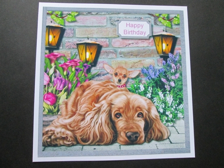 Love me love my dogs by BELINDA ABRAHAM