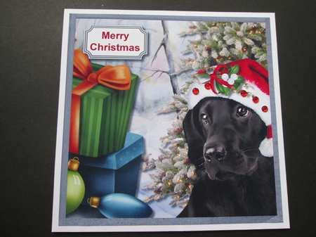 Christmas dog waiting for Santa by BELINDA ABRAHAM