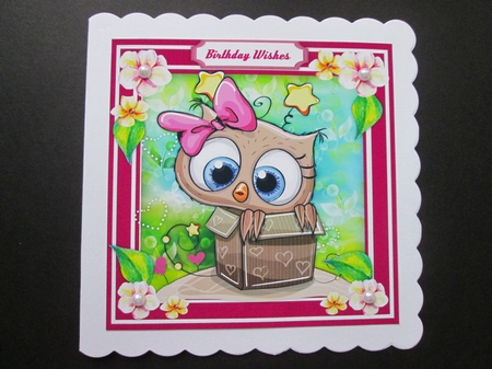 Gorgeous Owl in a Box by BELINDA ABRAHAM