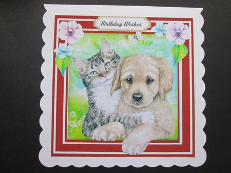 My Faithful Friend  by BELINDA ABRAHAM