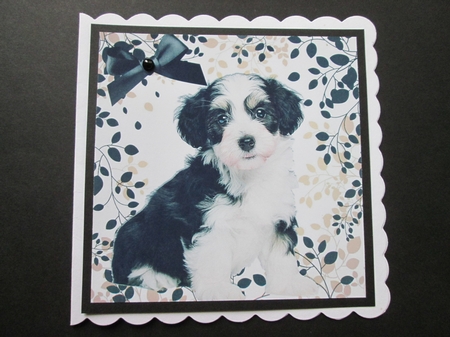 Cute black/white puppy with black bow in leaf frame 8x8 by BELINDA ABRAHAM