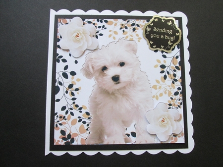 Cute little westie puppy with white roses 8x8 by BELINDA ABRAHAM