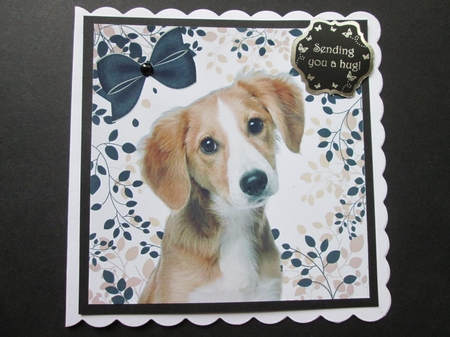 Brown eyed cute little puppy with leaf frame 8x8 by BELINDA ABRAHAM