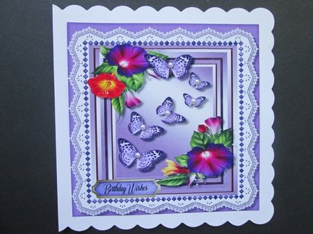 Butterflys and Petunias  by BELINDA ABRAHAM