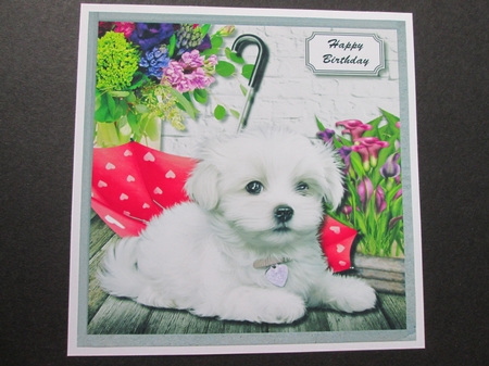 Cute dog with flowers by BELINDA ABRAHAM