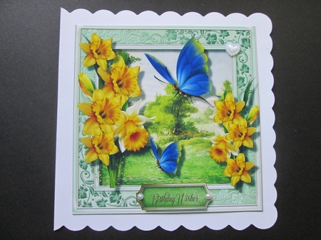 Beautiful Blue Butterflies and Daffs  by BELINDA ABRAHAM
