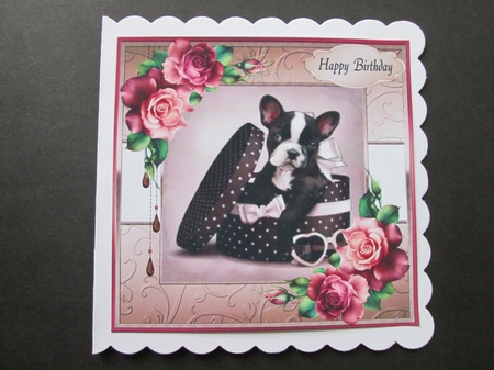 Birthday Dog by BELINDA ABRAHAM