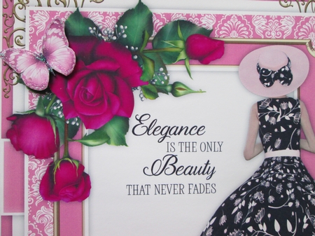 Beauty Card Bumper Kit by BELINDA ABRAHAM