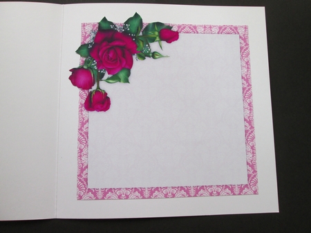 Beauty Card Bumper Kit by BELINDA ABRAHAM