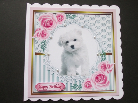 Pretty silver stripe/swirls /lace card front with white puppy pink roses 8x8 by BELINDA ABRAHAM