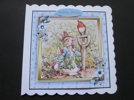 Peter Rabbit and The ROBIN  by BELINDA ABRAHAM