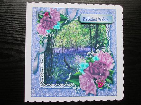 Beautiful Bluebell Woods and Roses  by BELINDA ABRAHAM