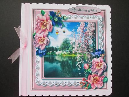 Beautiful Blossom and Summer Rosee  by BELINDA ABRAHAM