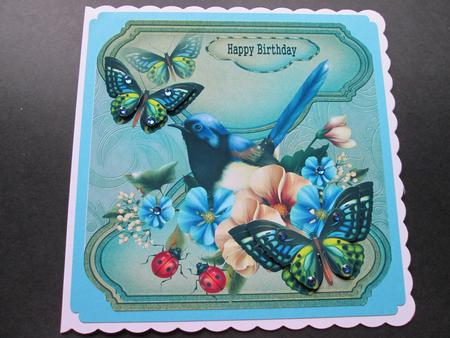 Birthday Male Card Bird and Butterflies by BELINDA ABRAHAM