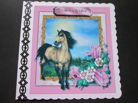 The Wind and the Wild One  by BELINDA ABRAHAM