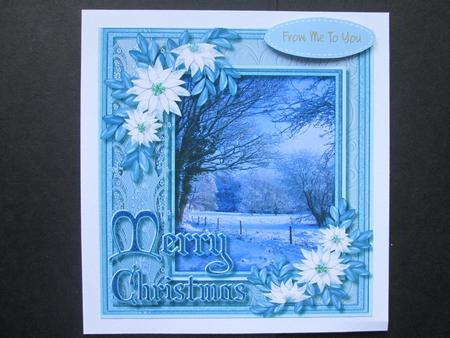 Beautiful Snow Covered Fields and Poinsettias  by BELINDA ABRAHAM