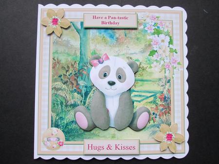 Have a Pan-tastic Birthday Topper & Decoupage by BELINDA ABRAHAM