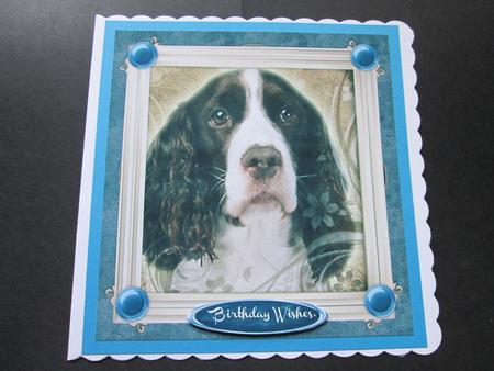 Lovely Spaniel in a Gold Frame  by BELINDA ABRAHAM