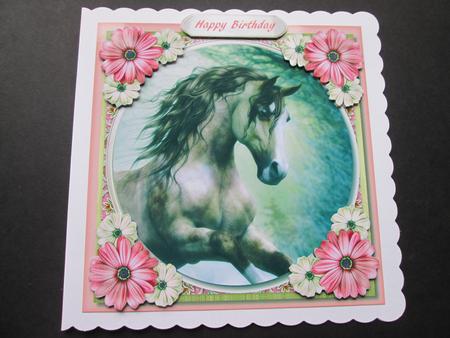 Beautiful Stallion and Daisy's  by BELINDA ABRAHAM
