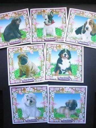 Spring Puppies Bumper Kit by BELINDA ABRAHAM