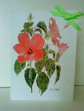 Hibiscus Watercolour Print & Fold Card - Sympathy by Belinda Ellingham