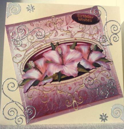 Pink Hibiscus Birthday Wishes by Belinda Ellingham