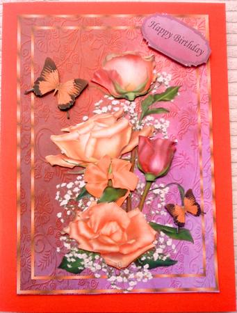 Beautiful Peach & Red Rose's A4 by Belinda Ellingham