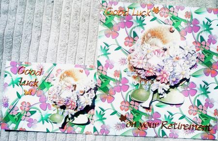 Flower Power Backing Paper by Belinda Ellingham