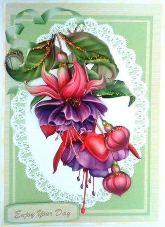 Beautiful Fushia Pea  by Belinda Ellingham