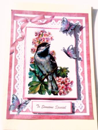 Beautiful Vintage Bird and Butterflys  by Belinda Ellingham