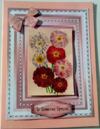 Lovely Primulas on Pink Satin  by Belinda Ellingham