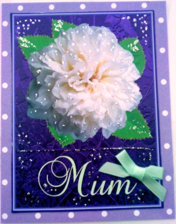 Big Bold White Rose for Mum by Belinda Ellingham