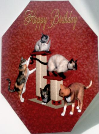 Kittens Playground Octagon Card by Belinda Ellingham