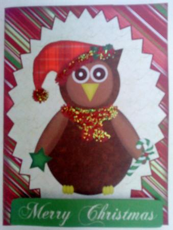 Cute Christmas Owl by Belinda Ellingham